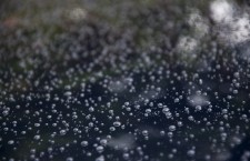 1z-einszett-glanz-wax-hartglanz-review-4