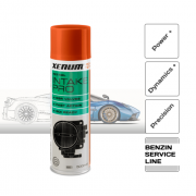 Intake Pro Cleaner Petrol - технически спрей